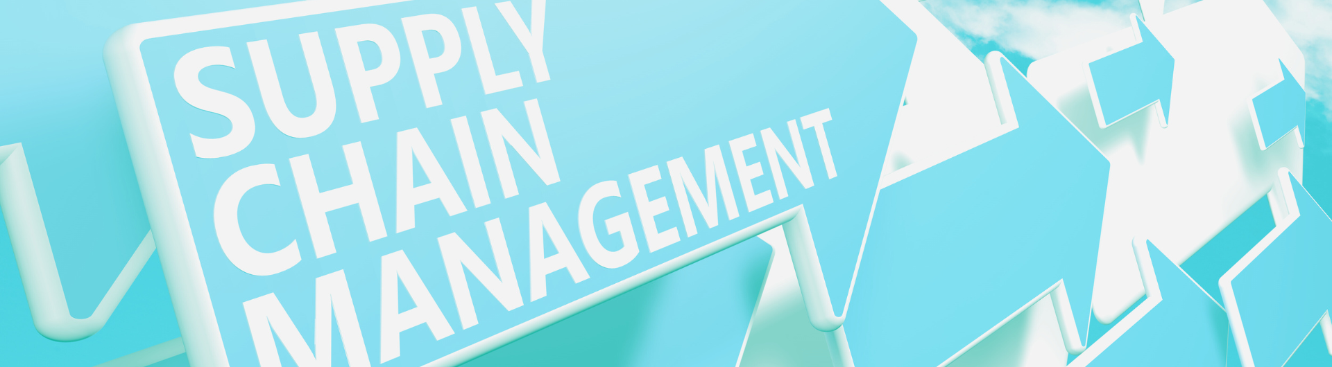 Fundamentos do Supply Chain Management
